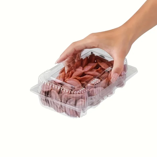 50pcs Clear PET Plastic Rectangular Flip-Top Containers