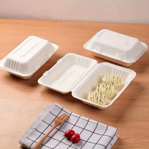 20pcs Pulp Lunch Boxes with Lids – Microwave & Fridge Safe